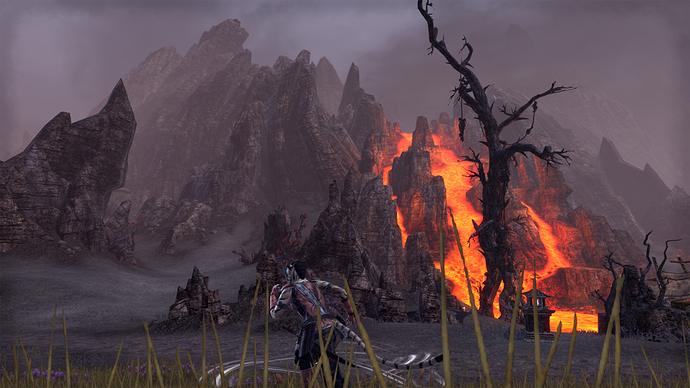 Screenshot_20200216_233603 copy