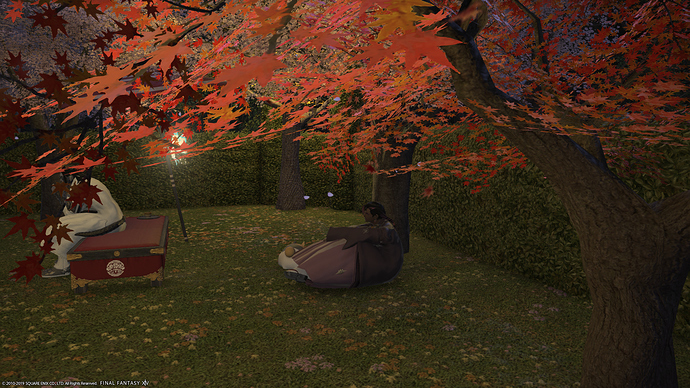 ffxiv_05102019_002207_602