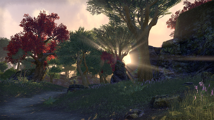 Screenshot_20200218_174612 copy