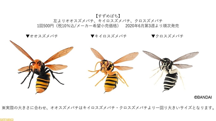 z_5ed8d73c9edf4