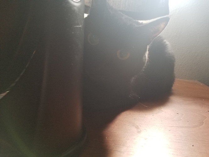 20190818_104334