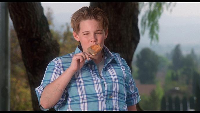 cap_Ice.Cream.Man.1995.BluRay.1080p.DTS-HD.MA.2.0.AVC.REMUX-FraMeSToR_00_05_21_03