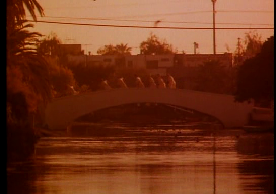 vlcsnap-2019-09-16-21h49m46s891