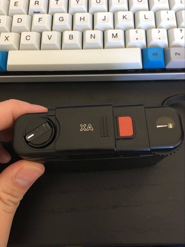 101370506_493249028071983_5304844936288403456_n