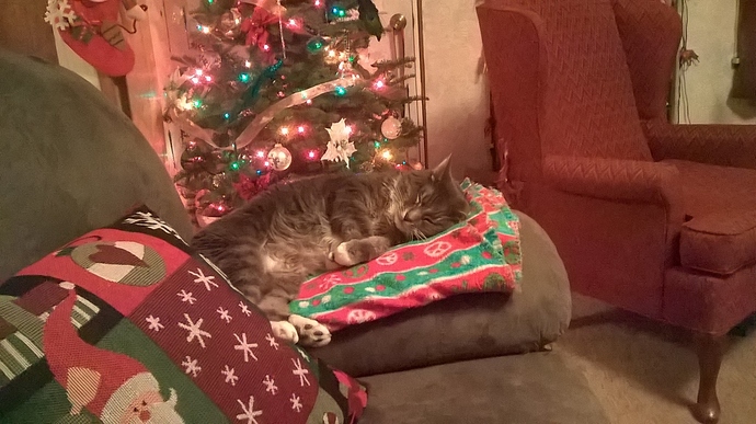 23800098_10160003242705713_8917144557290599241_o%20(1)