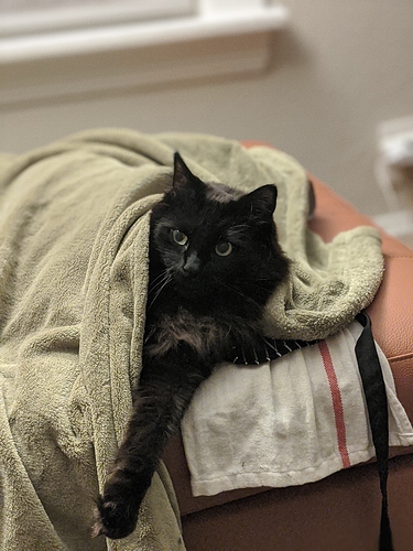 00100lrPORTRAIT_00100_BURST20200217212513216_COVER