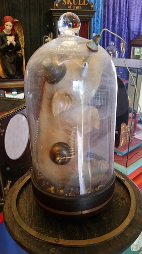 20190524_152325