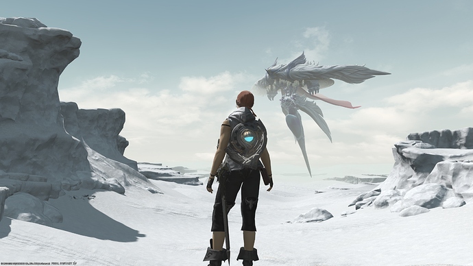 ffxiv_03012020_164413_939