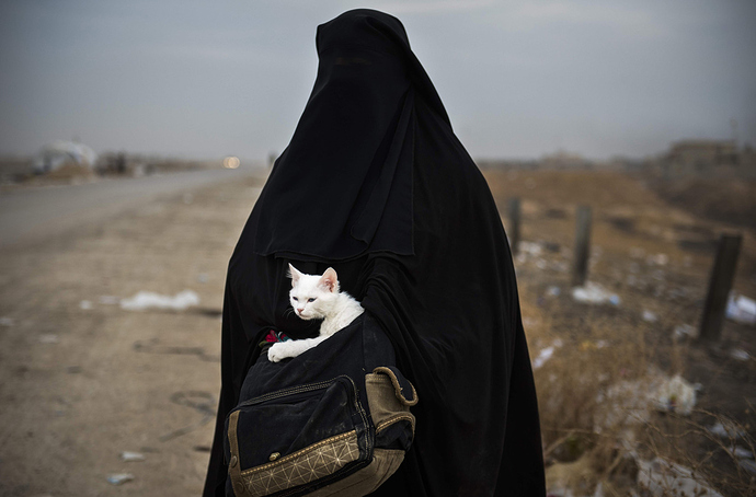 cat_in_bag