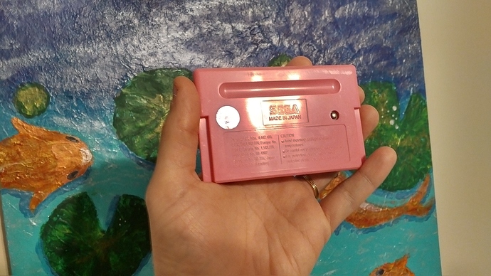 IMG_20190403_1310164