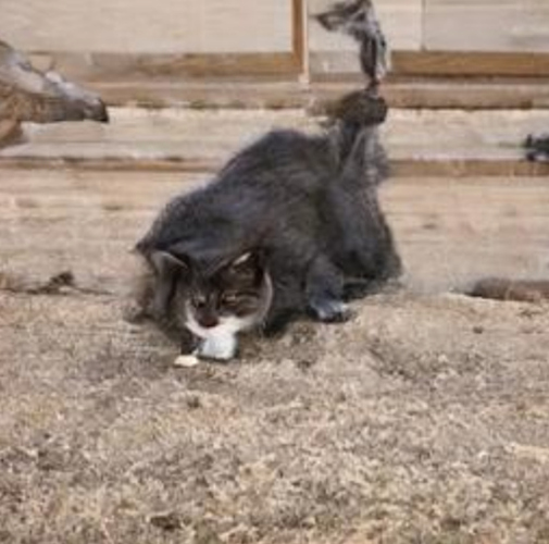 Screenshot_20191218-092855