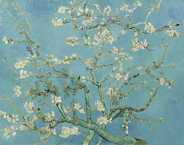Blossoming-Almond-Tree