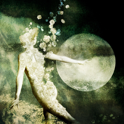 Moonywolf%20-%20Moon%20Dancer%2006