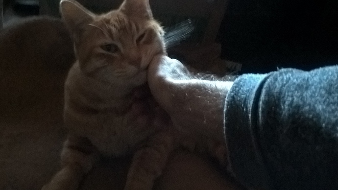 WP_20191119_14_31_12_Pro