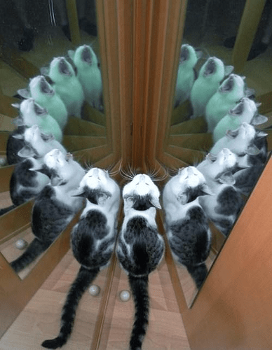 1563119703941