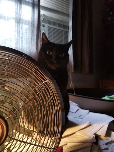20190703_194027
