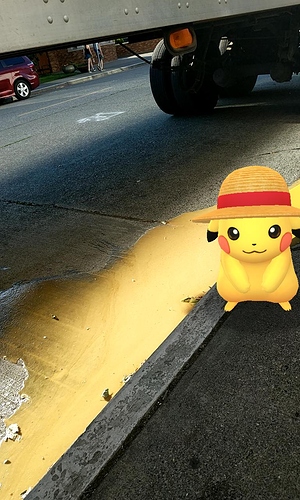 IMG_2019-07-22-18351244