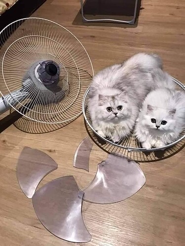 fan_cats