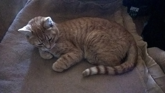 WP_20191119_14_30_23_Pro