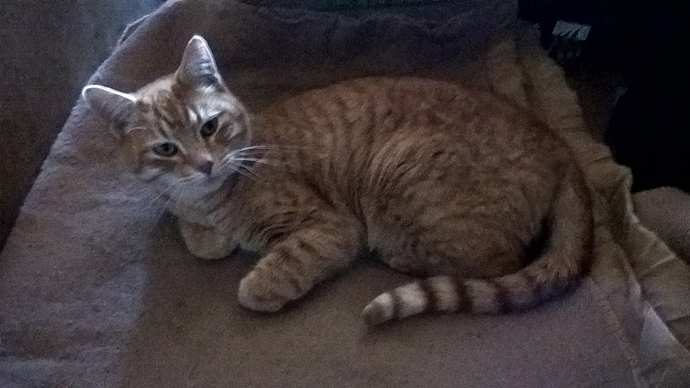 WP_20191119_14_30_07_Pro