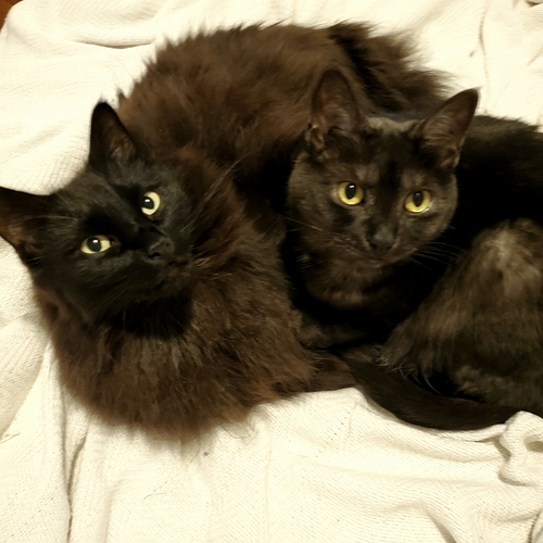 Resized_20190912_163118