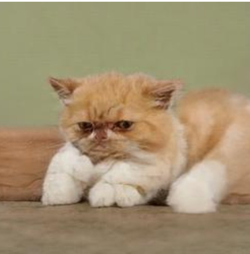 Screenshot_20191218-092817