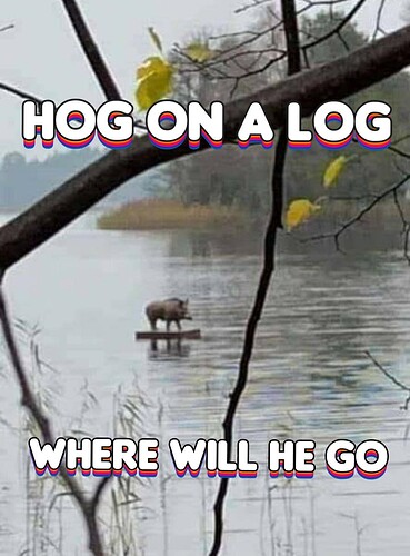 hog_on_a_log
