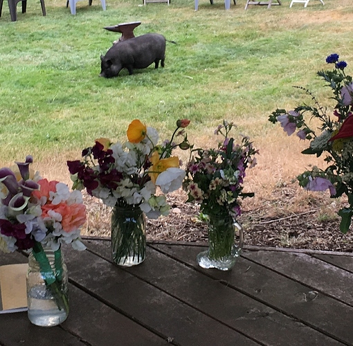 Screenshot_20180710-073519