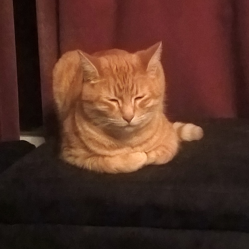 WP_20191218_21_48_06_Pro