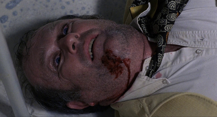 vlcsnap-2019-09-01-19h35m24s172