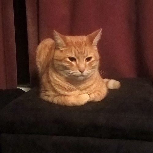 WP_20191218_21_47_19_Pro