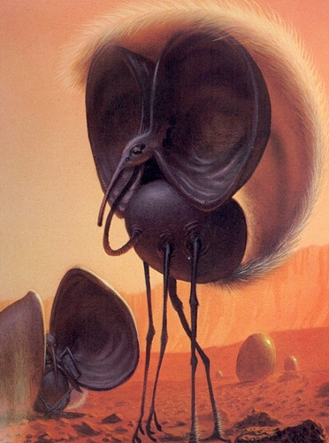 Our%20Universe%20-%2004