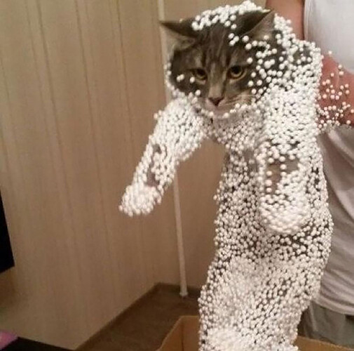 cat_messy