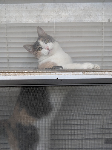 IMG_20190924_173403_1