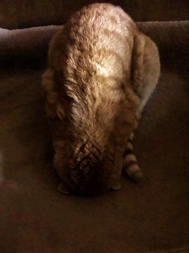 WP_20191217_13_22_05_Pro%20(Copy)