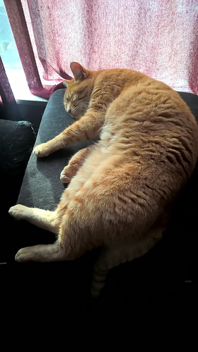 WP_20191224_10_44_13_Pro