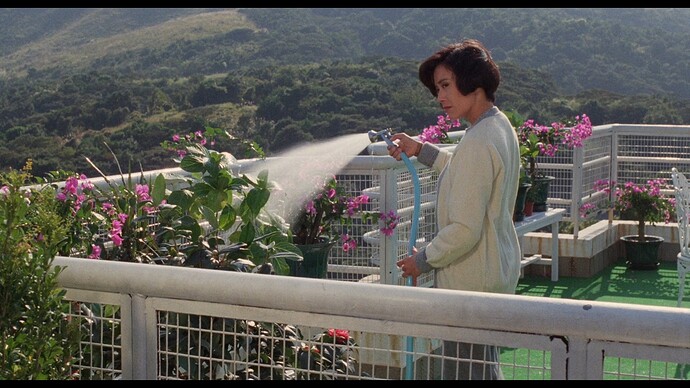 Dragons.Forever.1988.CHINESE.1080p.BluRay.x264.DTS-FGT.mkv_snapshot_00.46.41_2020.12.18_20.35.51