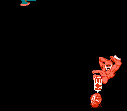 NES--Zombie%20Nation_Nov20%2022_53_08